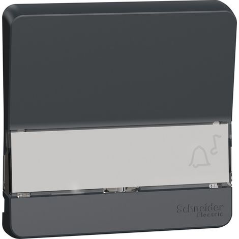 Mureva Styl Enjoliveur porte étiquette lumineux IP55 IK08 gris SCHNEIDER MUR34203 (1/3)