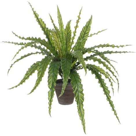 Plante artificielle Asplenium Fougère verte avec pot en terre cuite H50 x Ø75 cm - PANGIVO (1/5)