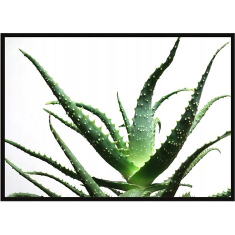 Póster con marco 53x73 cm Flor P1045 (1/3)