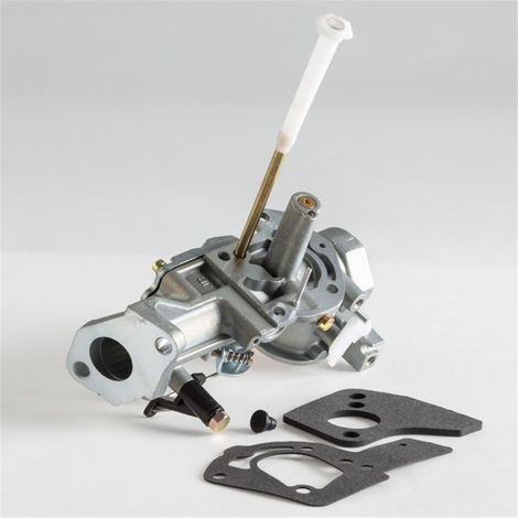 Carburateur Briggs & Stratton 492611 - 495426 - 498298 - 692784 (1/2)