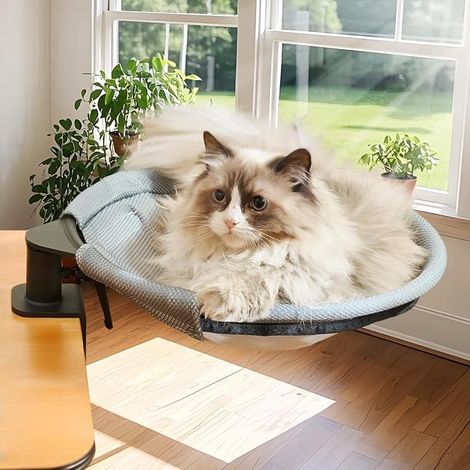 Lit de Bureau pour Chat Rotation de 360° Lit pour Chat avec Tapis Hiver/été Hamac pour Bureau 36 38cm (1/5)