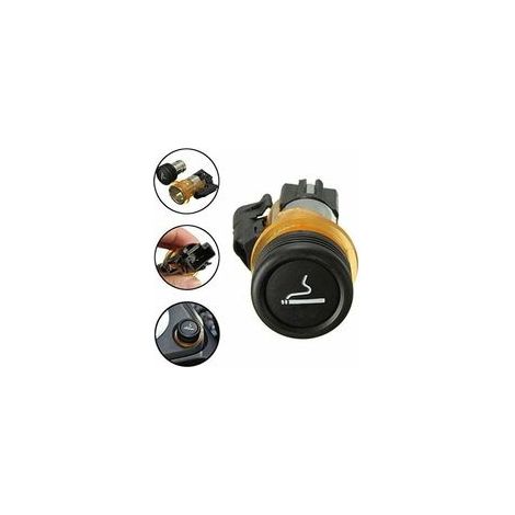 Cigare De Voiture Et Boîtier Cig Compatible avec Peugeot 206 308 406 607