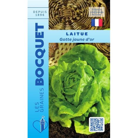 Laitue de printemps Gotte jaune d'or - 4g