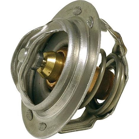 Thermostat de rechange 72°C Pour vanne termo WS DN 40-50 avec joint (1/2)