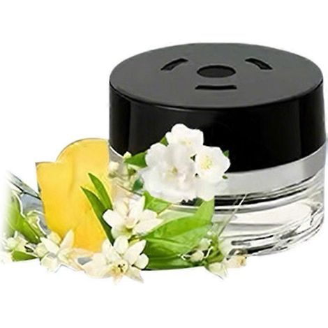 Parfum d'origine pour Mercedes arôme pour voiture Mercedes-Benz recharge de parfum « Free Mind » pour Maybach - 1 pièce - PACIFIC MOOD (1/5)