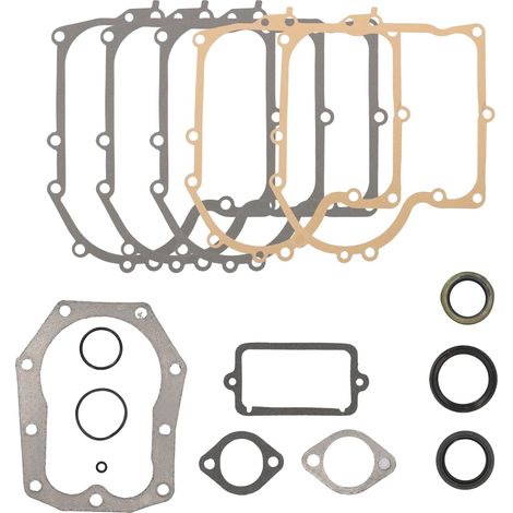 Kit Joints Moteur Pour Briggs 28M707 Joint Carburateur 28D707 286707 289707 494525 494241 (1/5)