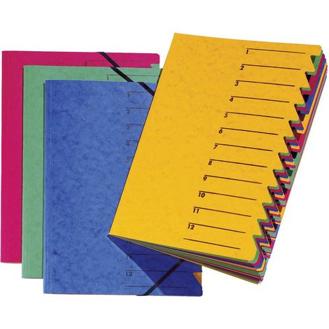 PAGNA 24131-02 P2413102 Cartellina con divisori Blu DIN A4 Cartone truciolato Numero scomparti: 12