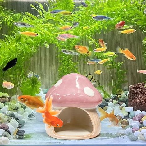 Décoration d'aquarium - Accessoires pour aquariums à betta - Maison champignon en céramique - Ornement d'aquarium - Reproduction, jeu et repos - Pour petits poissons, crevettes, poissons rouges, hamst (1/5)