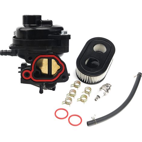 Carburador para motores Briggs & Stratton 550EX a 725EXI de 163 cc – Reemplaza la pieza 799584 (1/5)
