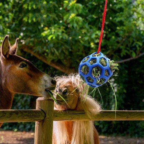 Aliment de foin pour chevaux, chèvres, moutons, jouet suspendu pour soulager le stress