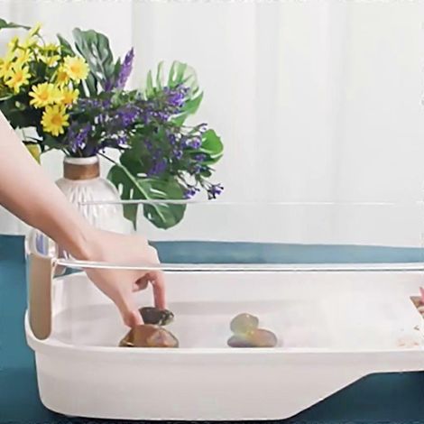 Terrarium pour reptiles et tortues d'eau douce avec plateforme chauffante, impossible de s'échapper (1/4)