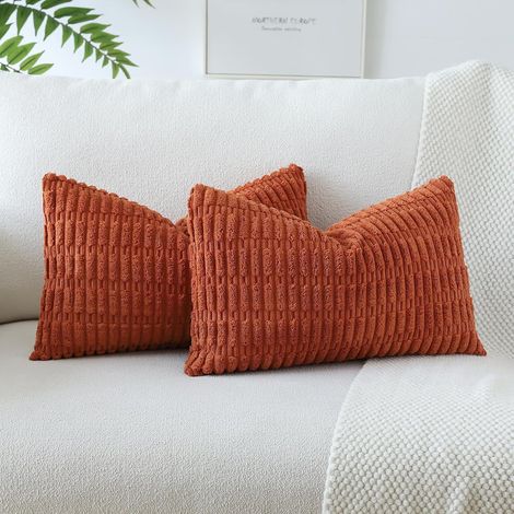 Lot de 2 Housses de coussin, Velours côtelé, Fermeture éclair invisible, 30x50cm, Salon Chambre (1/5)