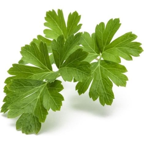 Click and Grow - Smart Garden Refill 3-pack - Parsley (SGR13X3)
