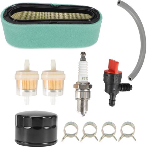 Kit di ricambi per carburatore - Filtro olio e accessori - Kit di sostituzione filtro aria 36356 - 11 pezzi (1/5)