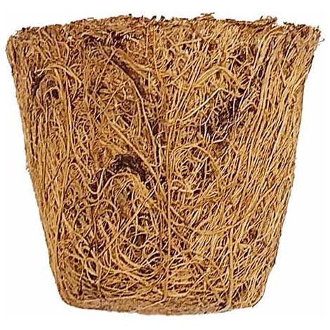 Coir Pots - Pack of 20 - Fibre/Latex - H5 cm