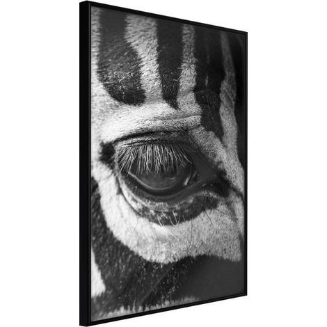 Affiche Murale Encadrée "Zebra Is Watching You" 30 x 42 cm Noir