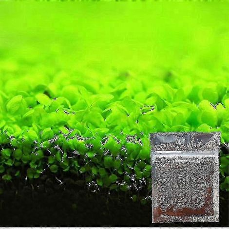 50 % de réduction sur les nouvelles graines de plantes décoratives pour aquarium, décoration de paysage pour aquarium, graines d'herbe aquatique faciles à cultiver (1/5)