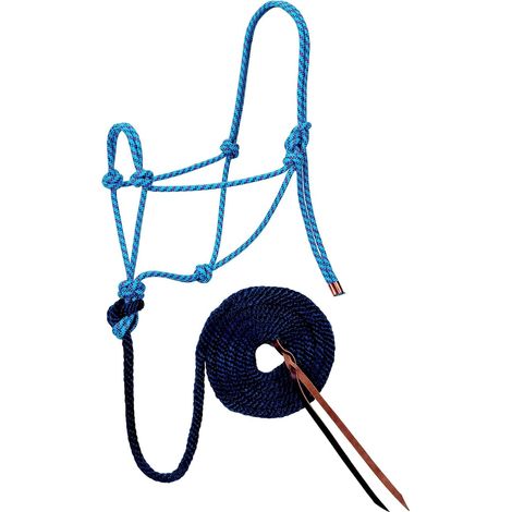 1 Licol, Longe, Corde Polyester, Motif Diamant, Tressé, Équitation