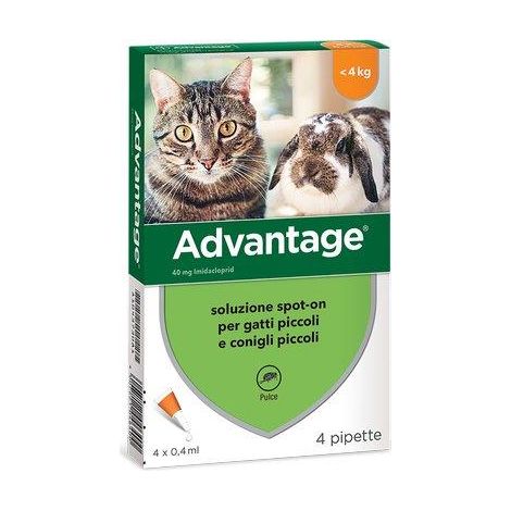 ANTIPARASSITARIO ADVANTAGE GATTI ELANCO - KG 0/4 CF=PZ 4- 1 confezioni