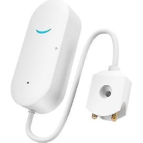 Aspirateur à jet pour piscine, nettoyeur à jet portable pour piscine avec brosse, sac et perche, accessoires de nettoyage pour piscines, fontaines et spas (1) (1/2)