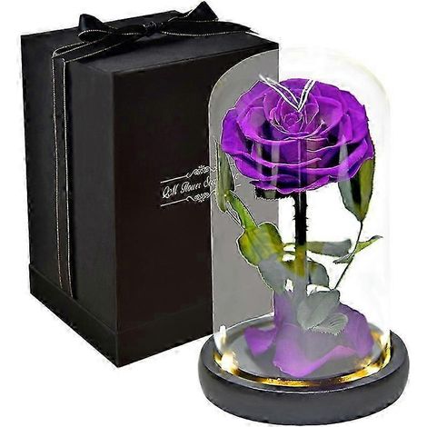 Rose éternelle préservée sous cloche en verre, coffret cadeau pour la Saint-Valentin ou la fête des mères, js (1/5)