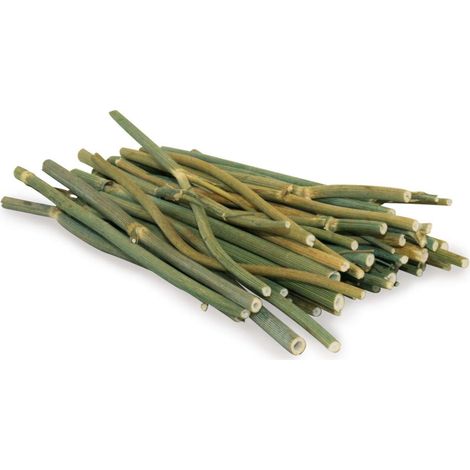 JR FARM Dillsticks für alle Papageien 15g (1/4)