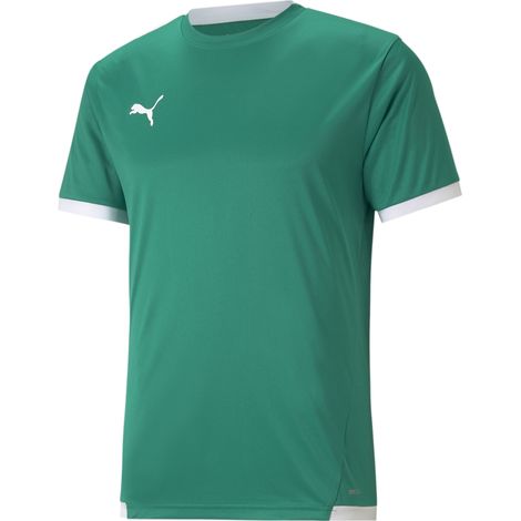 Puma Teamliga Herren-T-Shirt grün 70491705 r S