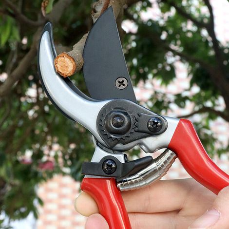 Forbici da taglio professionali, forbici da giardino, cesoie da potatura, tosaerba, cesoie da giardino, tosaerba