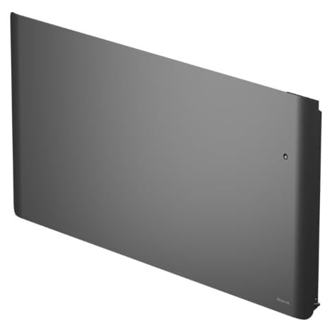 Radiateur à inertie double corps de chauffe NOIROT Evolution horizontal 2000W anthracite connecté (1/5)
