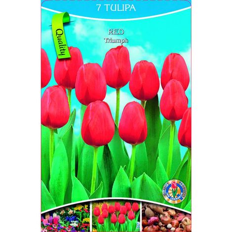 Bulbi primaverili