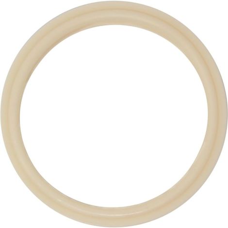 Joint de Lentille d’Éclairage Pentair 79108500 – Compatible 79108600 pour Aqualight et SpaBrite (1/4)