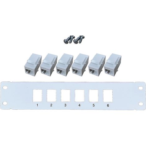 Panneau de brassage Ethernet Cat5e 6 ports RJ45, montage mural et en rack, module Keystone (1/5)