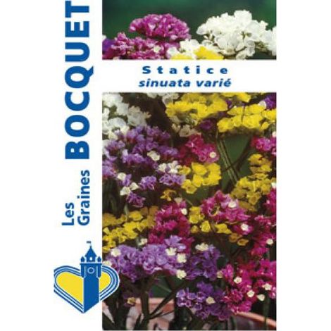 Saladelle sinuée le sachet de 100 graines (0,4g) (1/2)