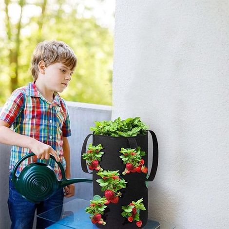 Pflanzsäcke für Erdbeeren und Gemüse – Hängebeutel mit Loch – Hängekorb aus Vliesstoff für Pflanzen – Geeignet für Kräuter, Gemüse und Blumen (1/4)