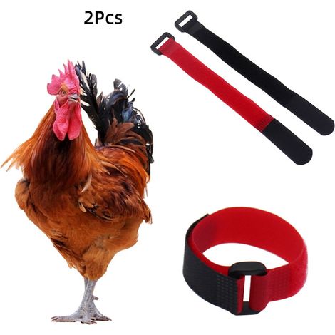 Collier anti-crochet pour poules et coqs, collier réglable, empêche les poules de crier et de déranger le voisinage. (1/5)