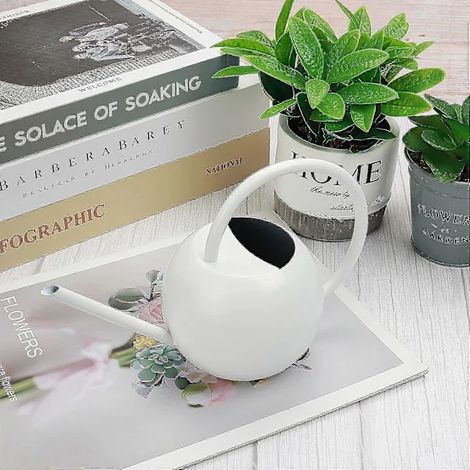 Petit arrosoir pour plantes d'intérieur, 401 ml Mini (1/2)