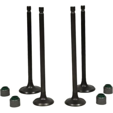 Valve stem seals for motorcycle engines, suitable for the BAJAJ PULSAR NS160 and NS150 models.