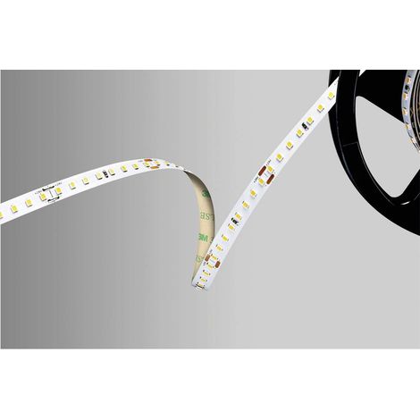 Barthelme 51542234 Striscia LED 24 V 5000 mm Bianco freddo 5 m