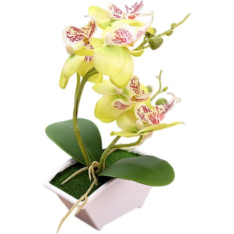 Plante Artificielle - Phalaenopsis Double Tige - Pot Plastique - Décoration Intérieure Extérieure - 1 Pièce (1/5)