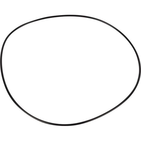 O-ring CARRARO CI028611