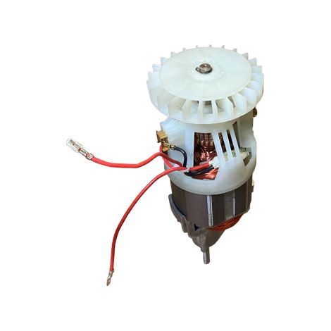 Ersatzmotor Elektromotor 230V 50Hz 1400W Motor für Vertikutierer uvm. (1/4)
