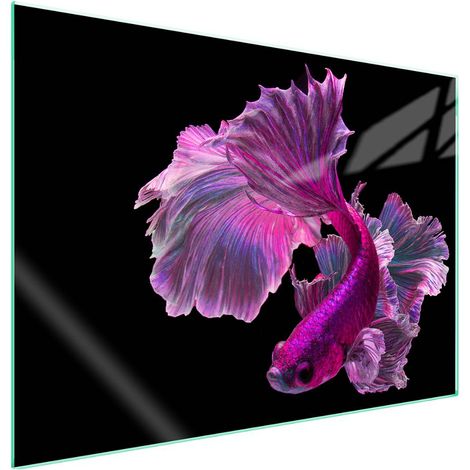 Plaque de protection en verre pour poêle 70x52 Poisson (1/5)