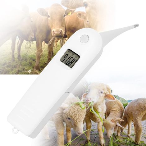 Thermomètre vétérinaire numérique Thermomètre Anus, Thermomètre Vétérinaire Numérique Rapide, Testeur de Température pour Bétail pour porcs bovins chiens de berger, cheval (sans batterie) (1/5)