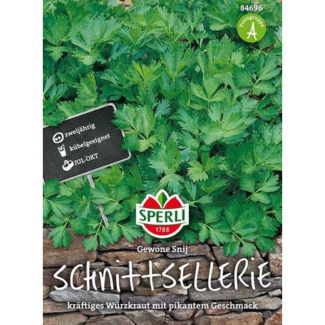 Sperli Schnittsellerie Gewone Snij - Kräutersamen (1/4)