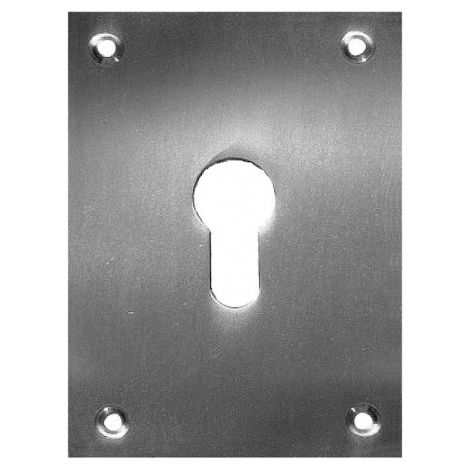 Placa Bocallave 2 Un. 100x70mm Níquel Satinado MICEL