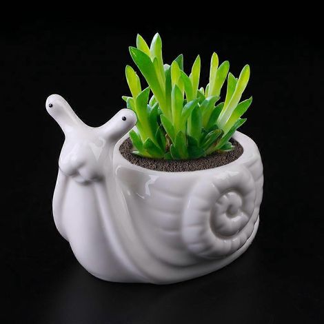 Pot de fleurs en céramique en forme d'escargot, pour plante grasse, pot de fleurs de bureau ou bureau à domicile (1/4)
