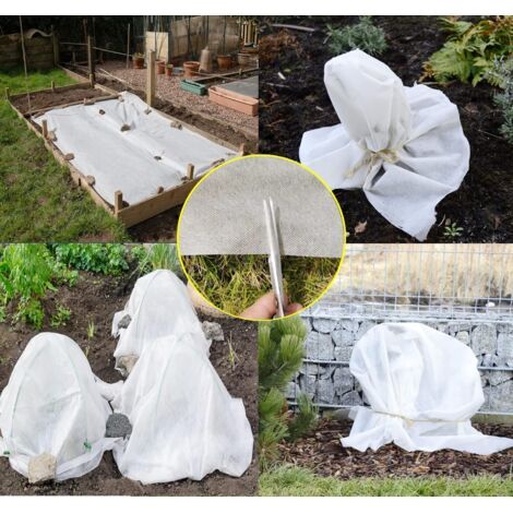 Paillis d'hiver pour plantes d'extérieur 2 m x 4 m, paillis d'hiver pour plantes d'extérieur, protège les plantes du gel, paillis d'hiver non tissé, 40 g/m² (1/3)