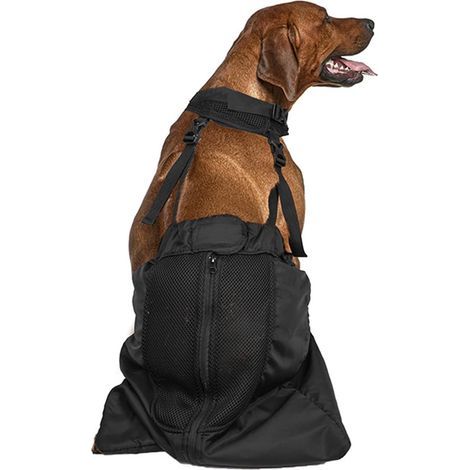 1 - Harnais De Soutien Pour Chien - Protection Pattes Arrières - Aide Mobilité Chiens Handicapés - Tissu Polyester Résistant - Noir - Taille Unique (1/5)