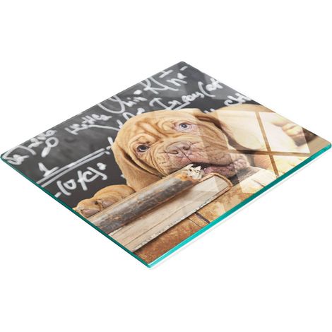 Libro de cartón decorativo de cristal para cocina "Mordiscos de perro" 60x52 cm (1/5)