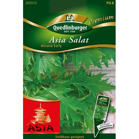 Quedlinburger Saatgut – Salade asiatique Mizuna Early – Graines de légumes Premium, légume-feuille à croissance rapide (1/2)